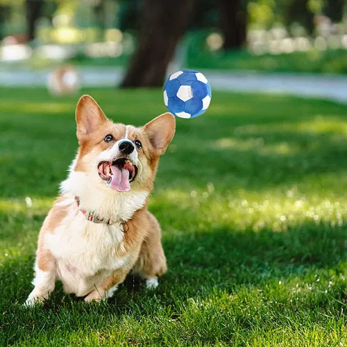 Vista 5 de Paquete de 3 pelotas interactivas para perros pequeños y medianos, pelotas de fútbol, fútbol y tenis para perros, rellenas de juguetes esponjosos
