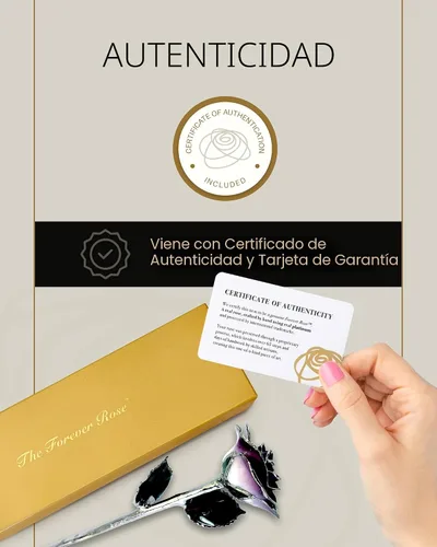 Vista 7 de Forever Rose Rosa real de dos tonos púrpura con pétalos ribeteados en platino y tallo de platino, rosa preservada hecha a mano en lujosa caja