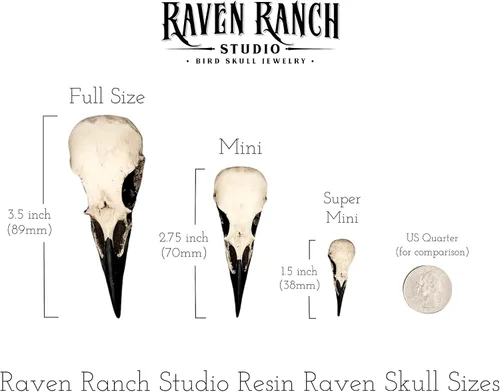 Vista 6 de Lariat Moon Phase Bar Raven Skull Necklace - Vertical Bar Lunar Charm