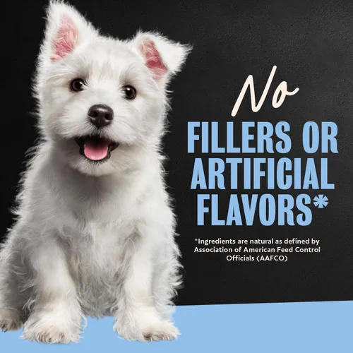 Vista 6 de Cesar Puppy Filets in Salsa Alimento húmedo para perros, pollo, 3.5 onzas