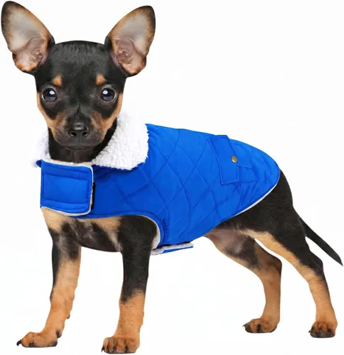 Vista 17 de Abrigo de invierno para perros pequeños, chaqueta sólida para cachorros, abrigo cálido para mascotas para clima frío, prendas acolchadas resistentes