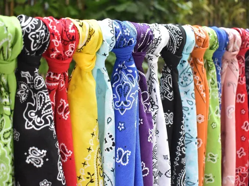 Vista 5 de EVERY-VILLE Where EVERYone is Welcome Classic Paisley Bandanas - 3 Pack Gift Set, 100% Cotton, 22x22 Inches