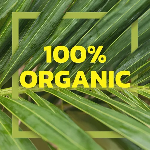 Vista 4 de Native Forest Organic Young Jackfruit – Jackfruit orgánica joven enlatada, jackfruit enlatado, jackfruit orgánica, sustituto de carne vegano – 14