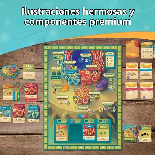 Vista 5 de Cytosis: Un Juego de Mesa de Biología Celular Un Juego de Mesa de Estrategia Científicamente Preciso Sobre la Construcción de Proteínas