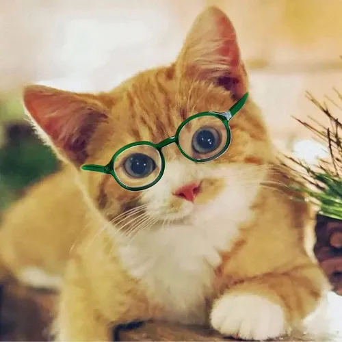 Vista 3 de Lindos lentes circulares para perros y mascotas, lentes transparentes, lentes retro, accesorios para fotos, gafas de sol transparentes para gatos