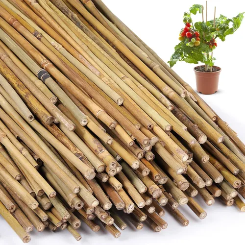Vista 11 de Suclain Juego de 30 estacas de bambú para plantas trepadoras, estacas de bambú resistentes para tomates, frijoles, flores y plantas en maceta