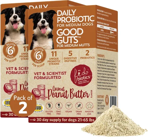 Vista 13 de Fidobiotics Good Guts Probióticos para perros – Polvo probiótico para perros para la salud digestiva, alivio de gases y heces más firmes, 3B UFC