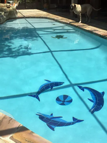 Vista 6 de Playing Dolphins - Mosaico de cerámica para piscina, color azul, 48 x 48 pulgadas