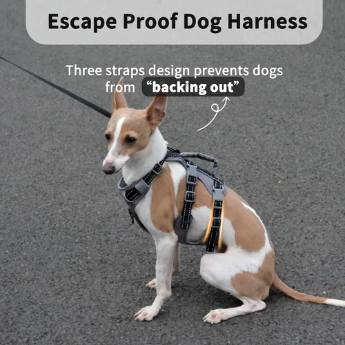 Vista 3 de Arnés reflectante para perros Huntboo con mango, a prueba de escapes, antideslizante, transpirable, ligero, arnés ajustable para perros pequeños