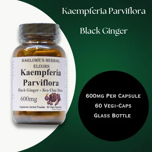 Vista 3 de Barlowe's Herbal Elixirs Kaempferia - Suplemento de parviflora Jengibre negro 600 mg 60 cápsulas vegetales Apoya la vitalidad y promueve