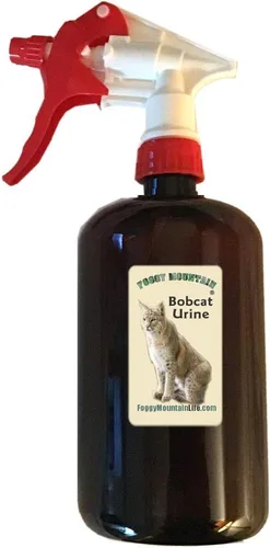 Vista 4 de Orina Bobcat