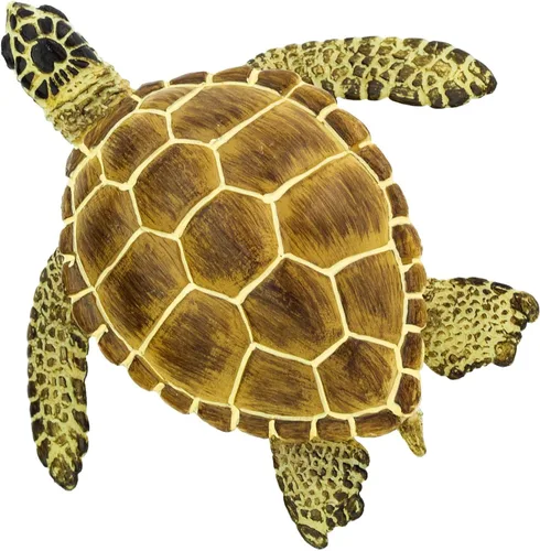 Vista 6 de Safari Ltd. Loggerhead - Figura de tortuga pintada a mano, realista de 3.75 pulgadas, juguete educativo para niños, niñas y niños a partir de 3 años