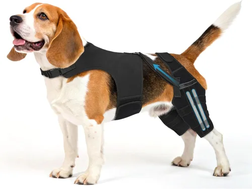 Vista 10 de Dog Knee Brace with Metal Stabilizers for Torn ACL Hind Leg, XS