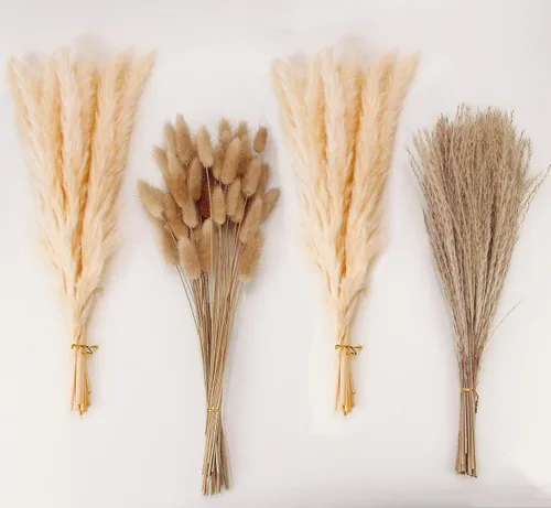 Vista 8 de 10 tallos de hierba de las pampas de 40 pulgadas de alto en color beige natural, añade un toque bohemio a tu espacio: hierba de las pampas ideal