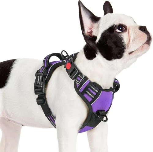 Vista 57 de Rabbitgoo - Arnés para perro de tamaño pequeño, arnés para mascotas sin tirones con 3 hebillas, chaleco acolchado suave ajustable con mango