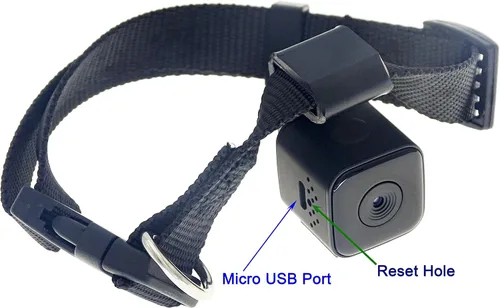 Vista 4 de Monitor del grabador de vídeo de la cámara DVR del collar del animal doméstico de Digitaces para el cachorro del gato