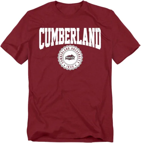 Vista 132 de Colección 3 de camisetas unisex para adultos con sello universitario