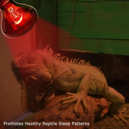 Vista 9 de Lámpara de calor roja infrarroja de 60 W para reptiles, bombilla para lagartos de mascotas, dragones barbudos, camaleones y serpientes, luz emisora