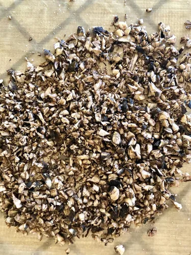 Vista 2 de Plant Good Seed Semillas orgánicas de raíz de bardana para plantar: hierba rica en nutrientes, hojas verdes grandes - Paquete de 50 semillas