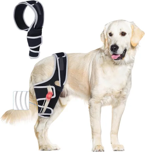 Vista 7 de Rodillera para perros con ACL desgarrado, soportes ajustables para patas de perro, soporte de soporte para patas traseras o delanteras, soporte