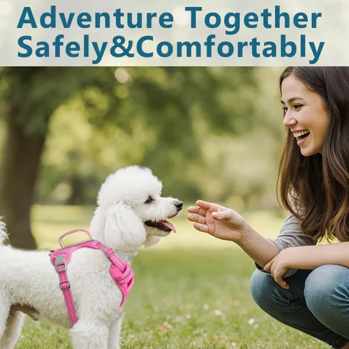 Vista 7 de BARKBAY Arnés para perro sin tirones con bolsillo para etiqueta de identificación, resistente, reflectante, de fácil control para perros grandes