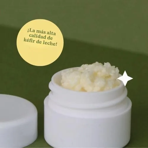 Vista 6 de Granos de kéfir de leche para hacer bebidas probióticas de kéfir