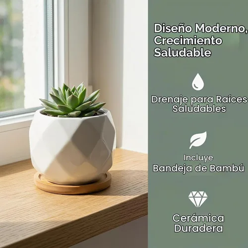 Vista 4 de Jucoan Paquete de 6 macetas de cerámica para suculentas con bandeja de bambú, 4 pulgadas, pequeñas flores de cactus blanco en forma de diamante