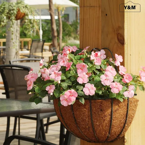 Vista 7 de Y&M Forros de fibra de coco semicirculares preformados de 16 pulgadas, 2 forros de coco natural para cestas colgantes, jardineras, montadas