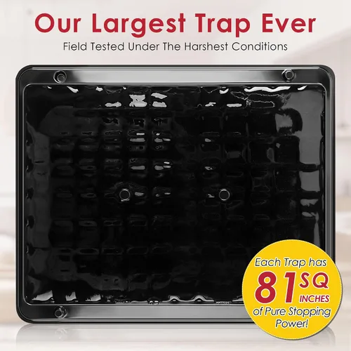 Vista 5 de Qualirey - Paquete de 8 trampas grandes de pegamento para ratas y ratones, 11.8 X 9.84 pulgadas, trampas grandes y resistentes para ratones