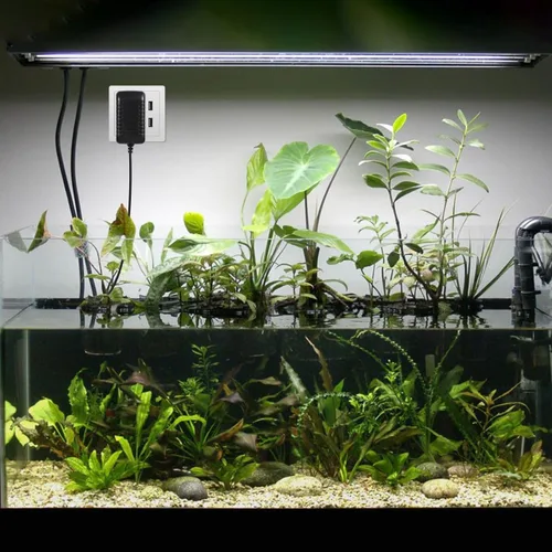 Vista 6 de UEETEK Adaptador de corriente LED AC110-240V DC12V 1A convertidor de fuente de alimentación conmutada para acuario tanque de peces luz