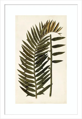Vista 12 de Amanti Art Vision Studio - Lienzo decorativo para pared, 24 x 17 pulgadas, variedades de hojas VIII, arte de pared de naturaleza, decoración