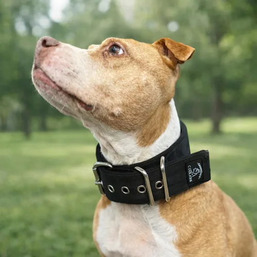Vista 5 de SparkDog - Collar acolchado para perro, 2 pulgadas de ancho, nailon de 4 capas, correas para cinturón de seguridad, accesorios de acero inoxidable