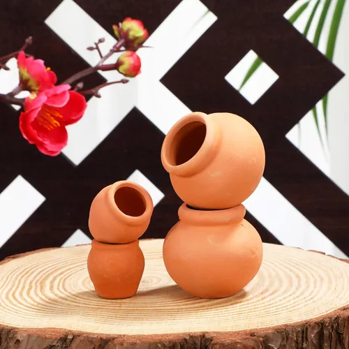 Vista 8 de Toddmomy Juego de 6 macetas de terracota para suculentas, pequeñas macetas de arcilla para plantas de jardinería en interiores y exteriores, plantas