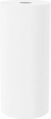 Vista 2 de Pentair OMNIFilter RS18 Filtro de agua para sedimentos, 10 pulgadas, cartucho de repuesto de polipropileno hilado resistente para toda la casa, 10 x