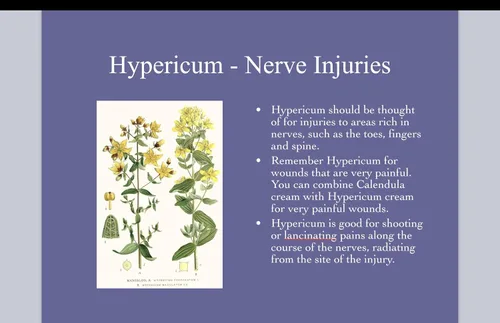 Vista 6 de Hypericum - Crema de caléndula (1 unidad)