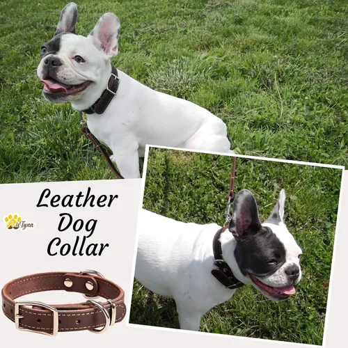 Vista 8 de Juego de collar y correa de cuero para perro, correa de cuero para perro de 6 pies x 1/2 pulgadas y collar de perro resistente para cachorros