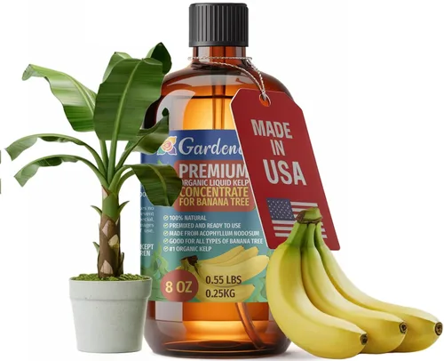 Vista 53 de GARDENERA Superalimento orgánico prémium de algas marinas y algas marinas para plantas AROID - 32 oz - Concentrado de fertilizante líquido de algas