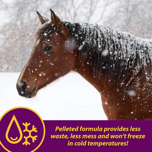 Vista 6 de Farnam Horse Health - Gránulos de glóbulos rojos, suplemento de vitaminas y hierro y minerales para caballos, ayuda a llenar importantes lagunas