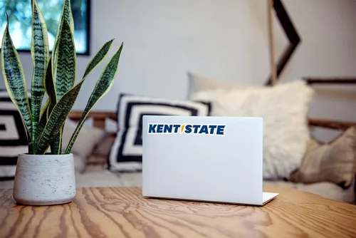 Vista 5 de Calcomanías y calcomanías para parachoques con licencia oficial de la NCAA (Universidad Estatal de Kent), color completo