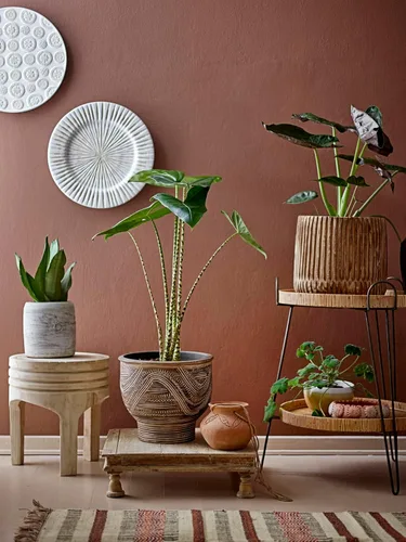 Vista 11 de Creative Co-Op Taburete de madera de Paulownia tallada a mano, estilo bohemio, natural