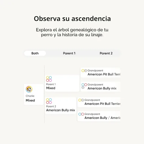 Vista 4 de Kit de identificación de raza Embark - Kit de prueba de ADN para perros más preciso - 99% de precisión en la ascendencia de raza para perros de raza