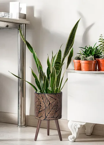 Vista 6 de D'vine Dev Maceta de 12 pulgadas con soporte, maceta alta de mediados de siglo con patas para plantas de interior, grande, bronce/gris, 88-L-C-6