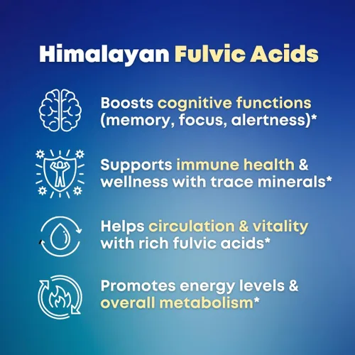 Vista 3 de Shilajit Cápsulas orgánicas puras del Himalaya con musgo marino irlandés, Ashwagandha, cobre, raíz de remolacha, suplemento de minerales de ácido