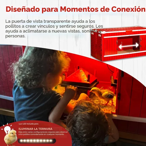 Vista 4 de RentACoop - Juego de criadores de pollitos con placa calefactora