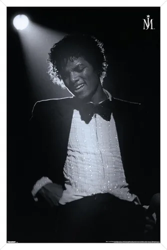 Vista 14 de Trends International Michael Jackson - Póster de pared Spotlight, 22.4 pulgadas de largo x 14.7 W, versión enmarcada en madera de granero Versión