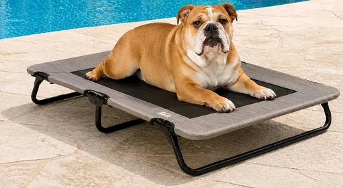 Vista 7 de Pet Gear Lifestyle - Cuna elevada para mascotas, 30 pulgadas, océano caribeño