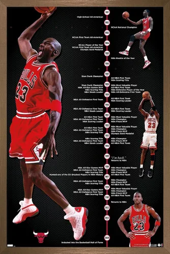 Vista 15 de Trends International Michael Jordan - Póster de pared de línea de tiempo, 14.725 x 22.375 pulgadas, versión enmarcada de madera de granero