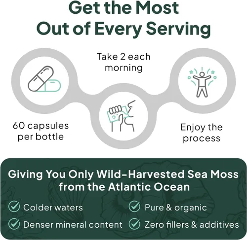 Vista 7 de Cápsulas de musgo marino salvaje orgánico de Organics Ocean - Musgo marino irlandés 100% orgánico con clorella orgánica, fucus y vitamina D