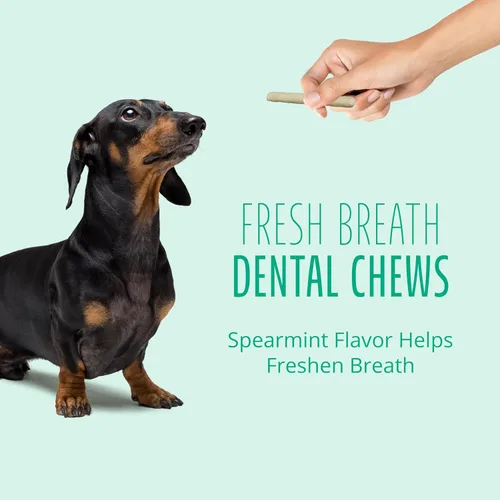 Vista 5 de Better Belly Fresh Breath - Rollos pequeños dentales, masticables para perros, pequeños, 10