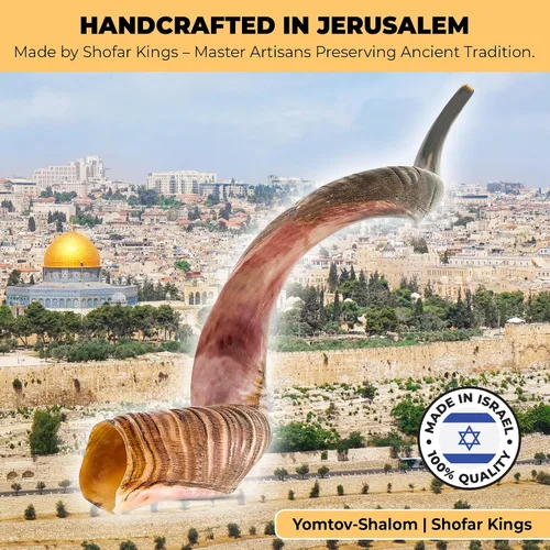 Vista 7 de YOMTOV-SHALOM Kudu Shofar a la venta Kosher de Israel Reyes Shofar Fábrica original de Shofar (13-18)